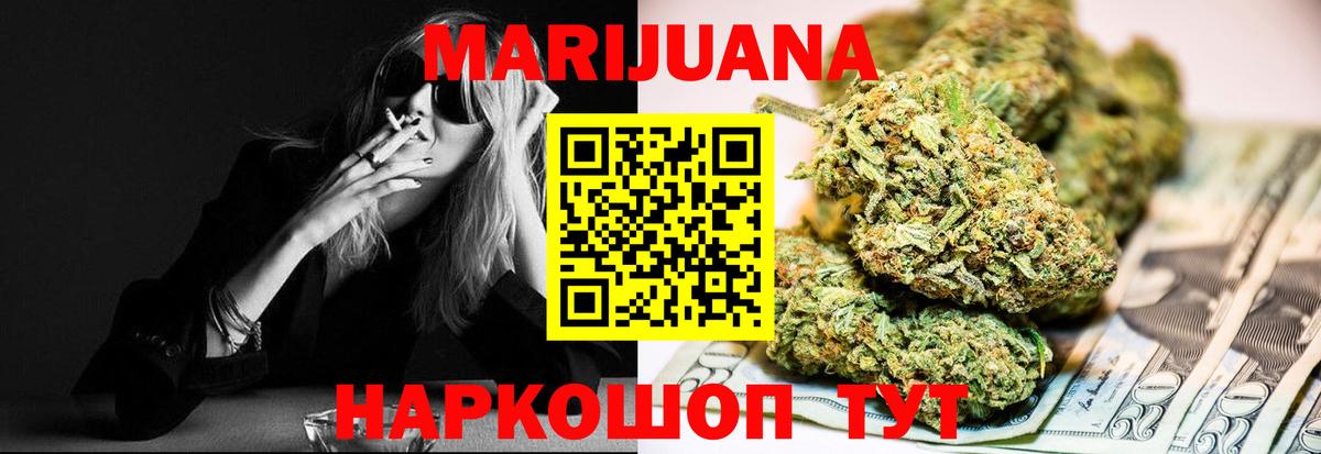 Канабис планчик Асино